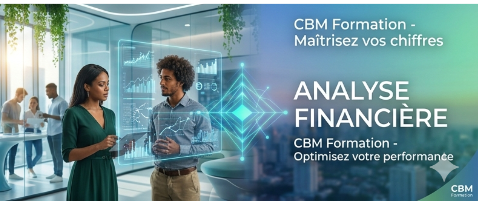 Analyse financière